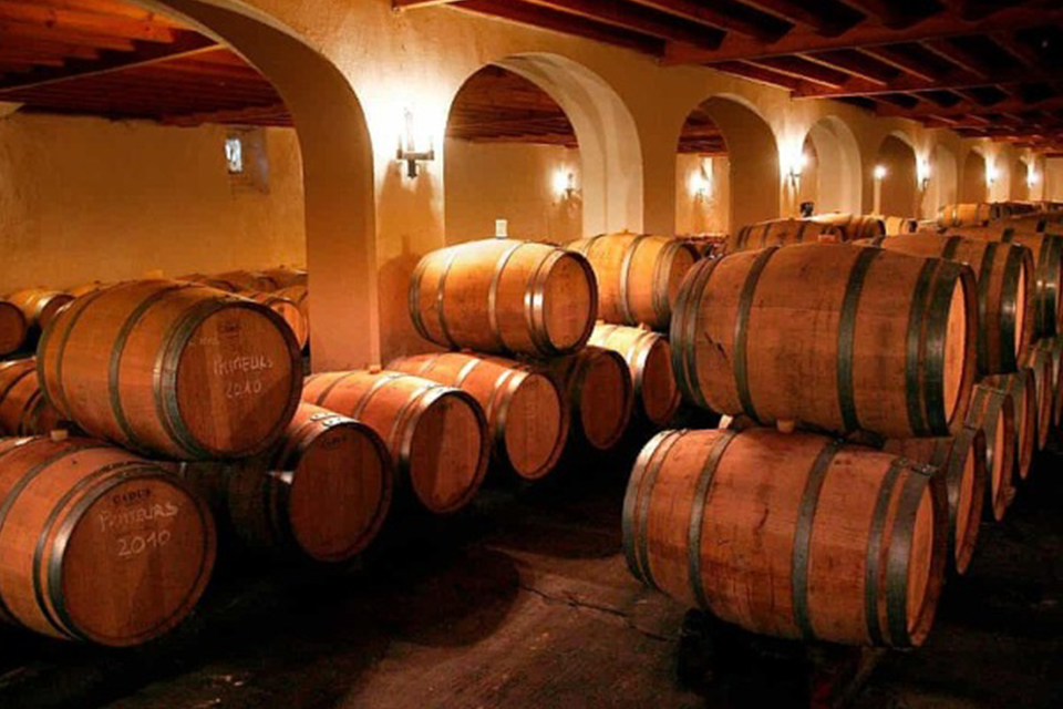Hàng triệu lít rượu vang Pháp biến thành nước rửa tay
